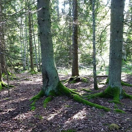 Viruna Farm Kiraste Екстер'єр фото