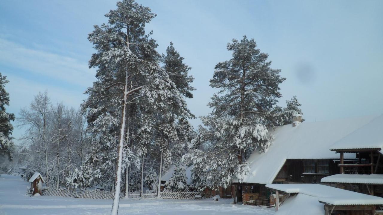 Viruna Farm Kiraste Екстер'єр фото