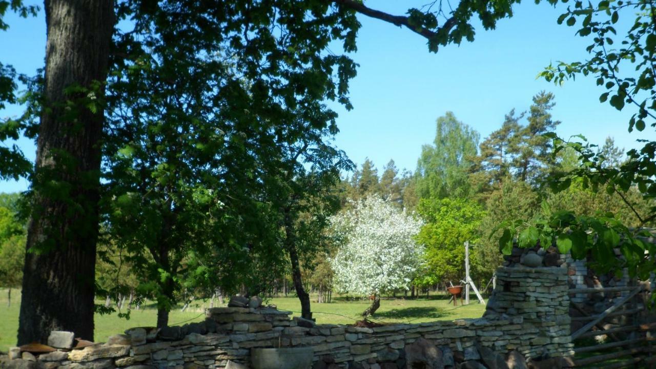 Viruna Farm Kiraste Екстер'єр фото