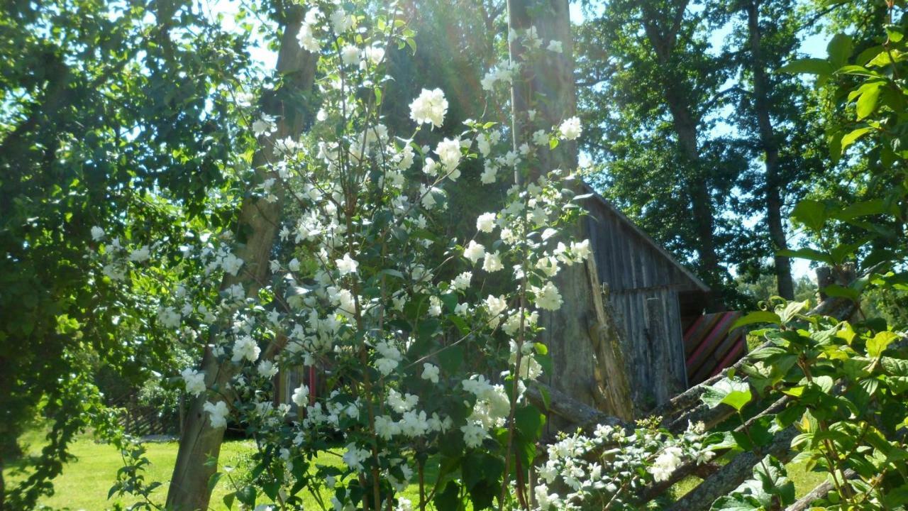 Viruna Farm Kiraste Екстер'єр фото