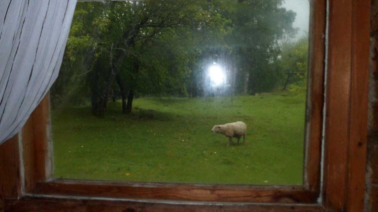 Viruna Farm Kiraste Екстер'єр фото