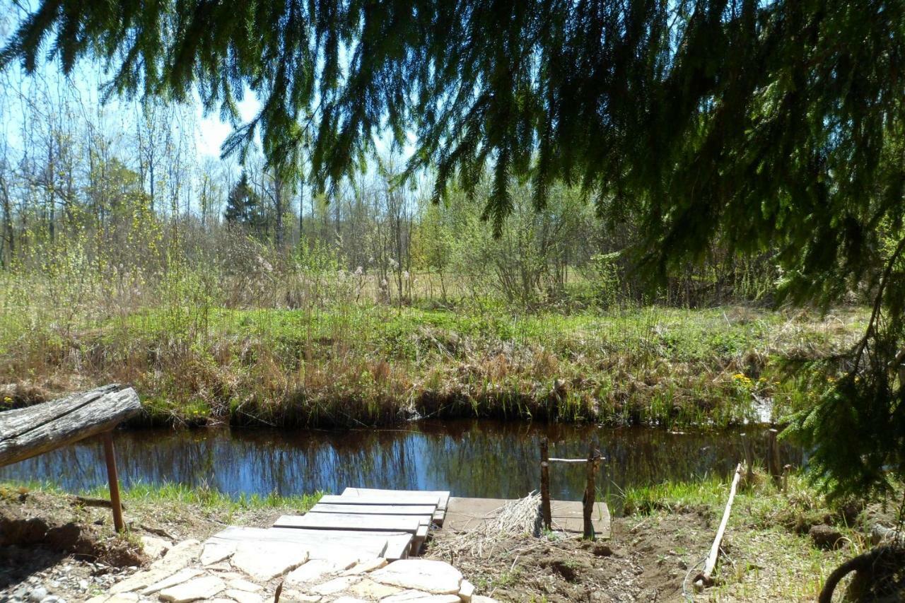 Viruna Farm Kiraste Екстер'єр фото